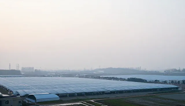技术应用在项目实施中的性能优化与适用条件分析