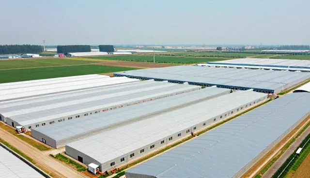 养殖场性能优化中的技术咨询实践分析